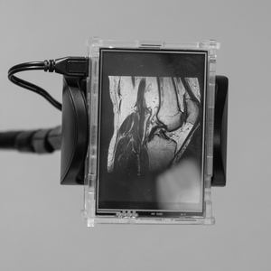 XT238764.jpg
