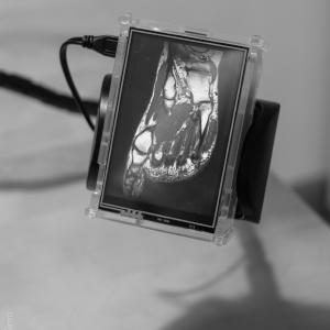 XT238773.jpg