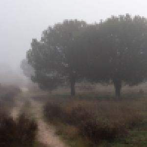 DSC02884-Editar.jpg