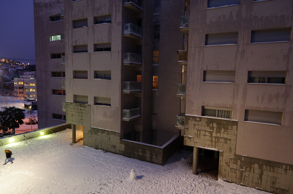 Nevada en Barcelona